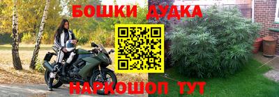 шишки Ирбит
