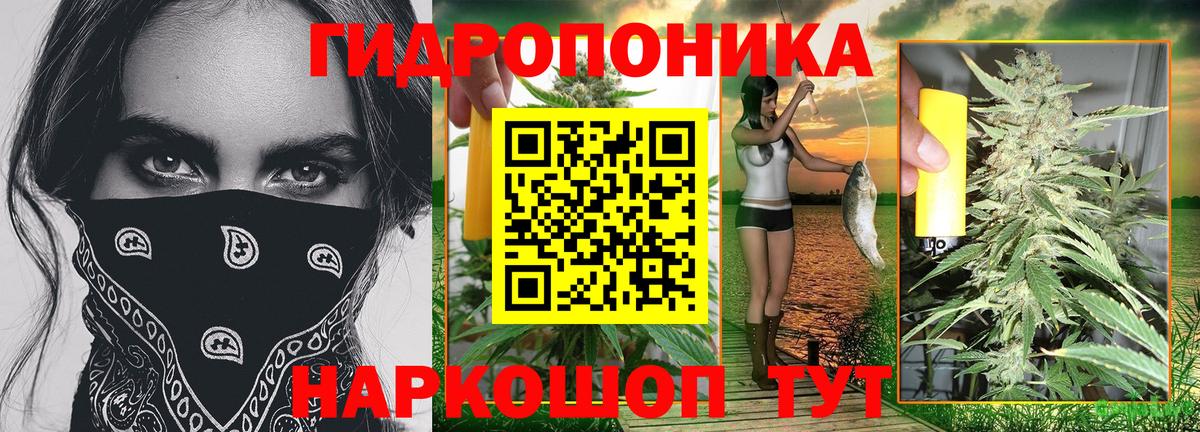 Люберцы  Марихуана конопля  Бошки Шишки гибрид  Бошки Шишки White Widow  Конопля конопля  Вход с VPN 